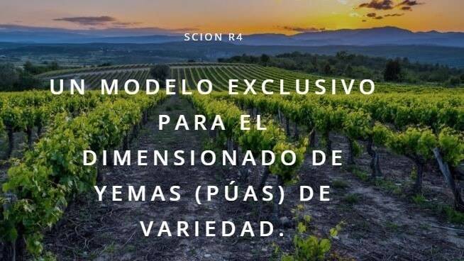 31499_modal|31505_modal